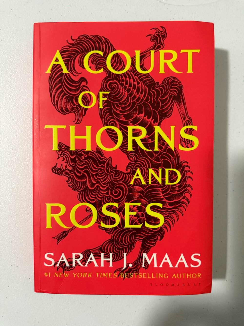 A Court of Thorns and Roses by Sarah J. Maas Paperback Book